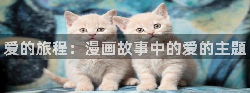 虫虫漫画视频：爱的旅程：漫画故事中的爱的主题
