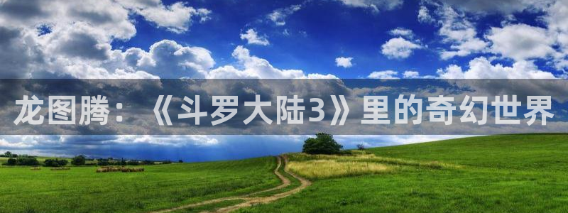 汗汗歪歪虫虫：龙图腾：《斗罗大陆3》里的奇幻世界